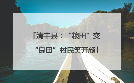 清丰县：“粮田”变“良田”村民笑开颜