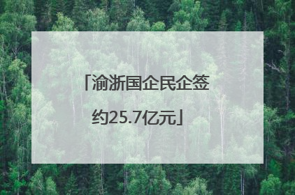 渝浙国企民企签约25.7亿元
