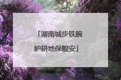 湖南城步铁腕护耕地保粮安