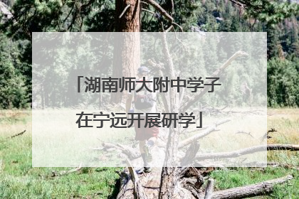 湖南师大附中学子在宁远开展研学