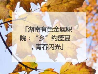 湖南有色金属职院：“乡”约盛夏，青春闪光
