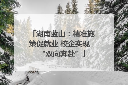湖南蓝山：精准施策促就业 校企实现“双向奔赴”