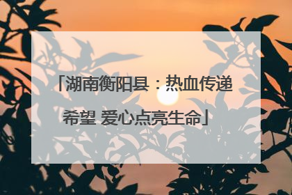 湖南衡阳县：热血传递希望 爱心点亮生命