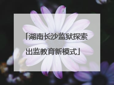 湖南长沙监狱探索出监教育新模式