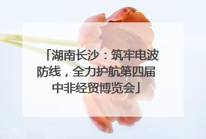 湖南长沙：筑牢电波防线，全力护航第四届中非经贸博览会