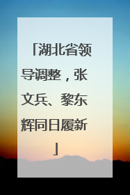 湖北省领导调整，张文兵、黎东辉同日履新