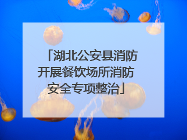 湖北公安县消防开展餐饮场所消防安全专项整治