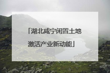 湖北咸宁闲置土地激活产业新动能