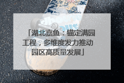 湖北嘉鱼：锚定满园工程，多维度发力推动园区高质量发展