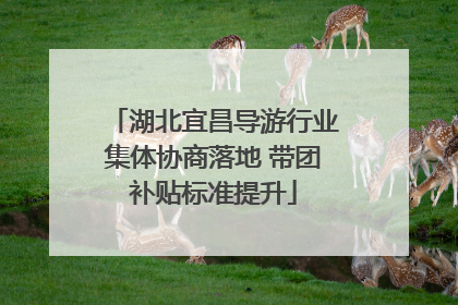 湖北宜昌导游行业集体协商落地 带团补贴标准提升