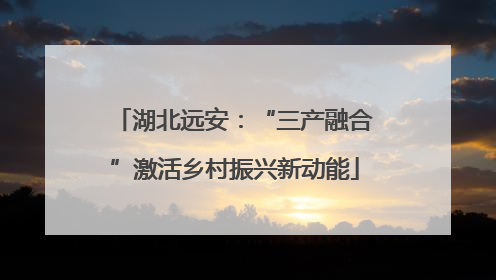 湖北远安：“三产融合”激活乡村振兴新动能