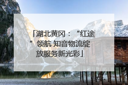 湖北黄冈：“红途”领航 知音物流绽放服务新光彩