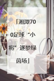 湘潭700足球“小将”逐梦绿茵场
