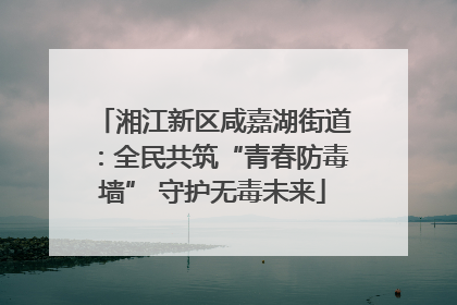湘江新区咸嘉湖街道：全民共筑“青春防毒墙” 守护无毒未来