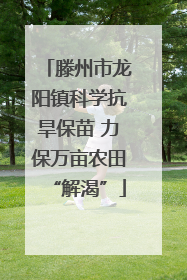 滕州市龙阳镇科学抗旱保苗 力保万亩农田“解渴”