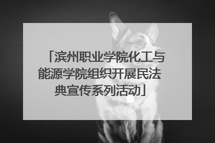 滨州职业学院化工与能源学院组织开展民法典宣传系列活动