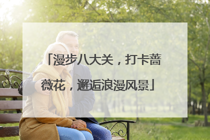 漫步八大关,打卡蔷薇花,邂逅浪漫风景