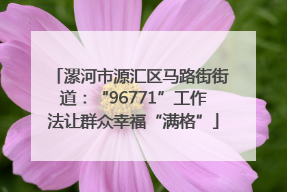 漯河市源汇区马路街街道：“96771”工作法让群众幸福“满格”