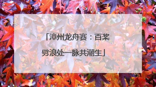 漳州龙舟赛：百桨劈浪处一脉共潮生