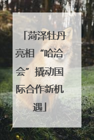 菏泽牡丹亮相“哈洽会”撬动国际合作新机遇