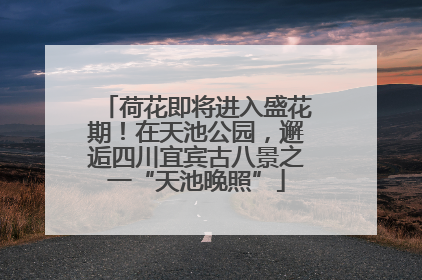 荷花即将进入盛花期！在天池公园，邂逅四川宜宾古八景之一“天池晚照”