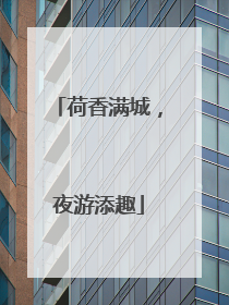 荷香满城，夜游添趣