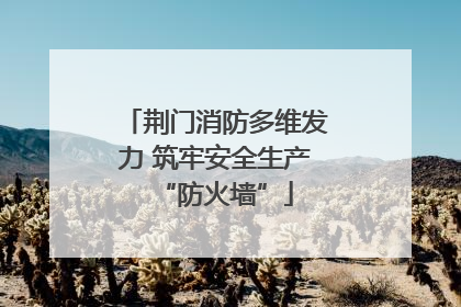 荆门消防多维发力 筑牢安全生产“防火墙”