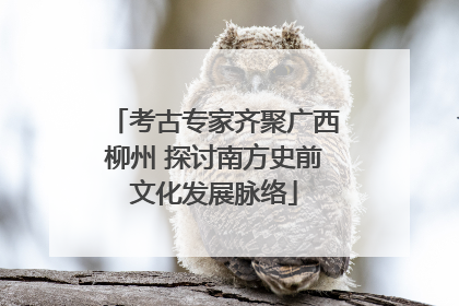 考古专家齐聚广西柳州 探讨南方史前文化发展脉络