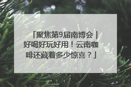 聚焦第9届南博会｜好喝好玩好用！云南咖啡还藏着多少惊喜？