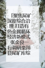 聚焦尾矿深度综合治理 打造有色金属循环经济新模式 张金良一行调研栾川县尾矿库综合治理工作