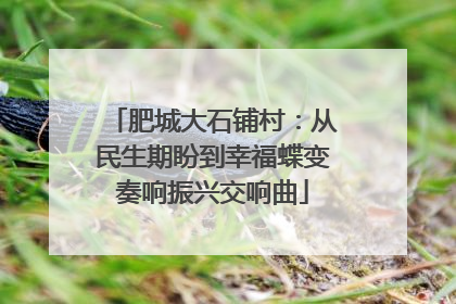 肥城大石铺村：从民生期盼到幸福蝶变奏响振兴交响曲