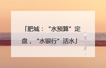 肥城：“水预算”定盘，“水银行”活水