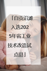 自贡沿滩入选2025年省工业技术改造试点县