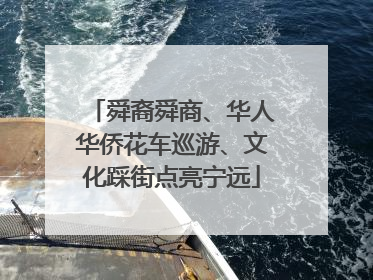 舜裔舜商、华人华侨花车巡游、文化踩街点亮宁远
