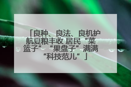 良种、良法、良机护航夏粮丰收 居民“菜篮子”“果盘子”满满“科技范儿”