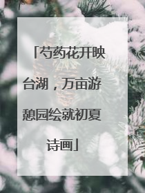 芍药花开映台湖，万亩游憩园绘就初夏诗画