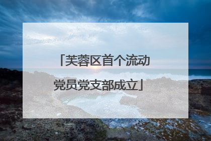芙蓉区首个流动党员党支部成立