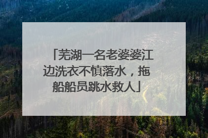 芜湖一名老婆婆江边洗衣不慎落水，拖船船员跳水救人