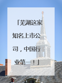 芜湖这家知名上市公司，中国行业第一！
