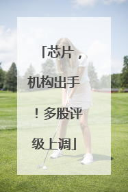 芯片，机构出手！多股评级上调