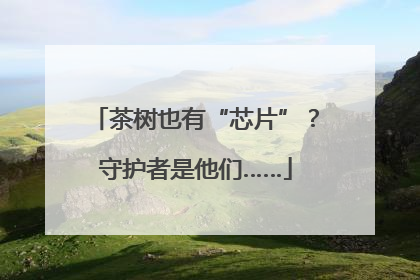 茶树也有“芯片”？守护者是他们……