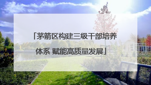 茅箭区构建三级干部培养体系 赋能高质量发展
