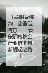 蒙阴育桃韵，甜香溢四方——看蒙阴蜜桃全产业链的创新崛起之路