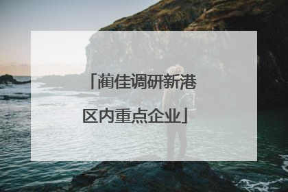 蔺佳调研新港区内重点企业