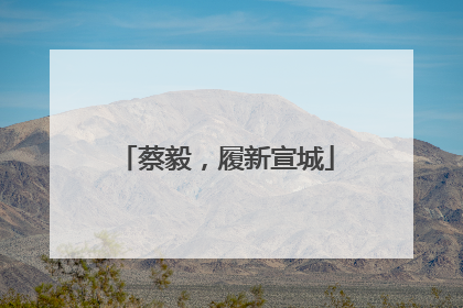 蔡毅，履新宣城