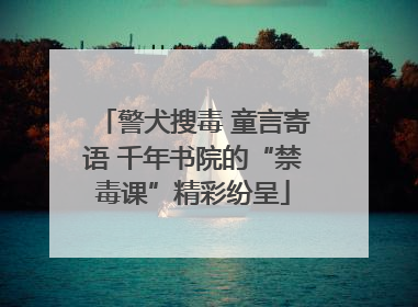 警犬搜毒 童言寄语 千年书院的“禁毒课”精彩纷呈