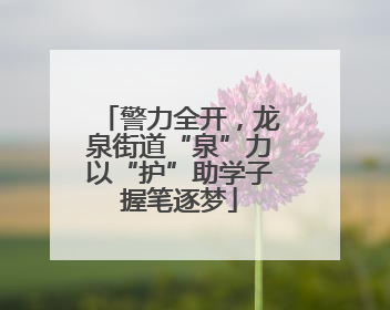 警力全开，龙泉街道“泉”力以“护”助学子握笔逐梦