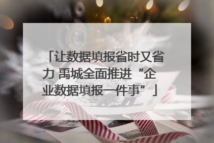 让数据填报省时又省力 禹城全面推进“企业数据填报一件事”