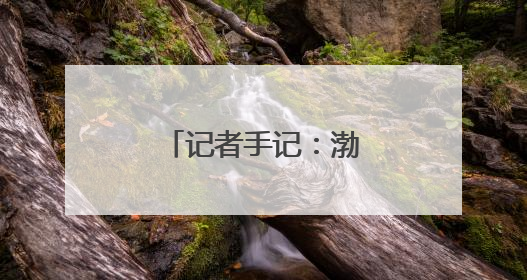 记者手记：渤海湾畔盐碱滩变身“新粮仓”