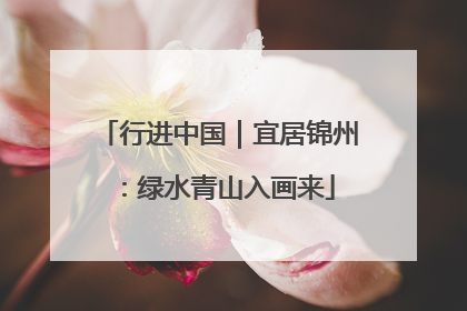 行进中国｜宜居锦州：绿水青山入画来